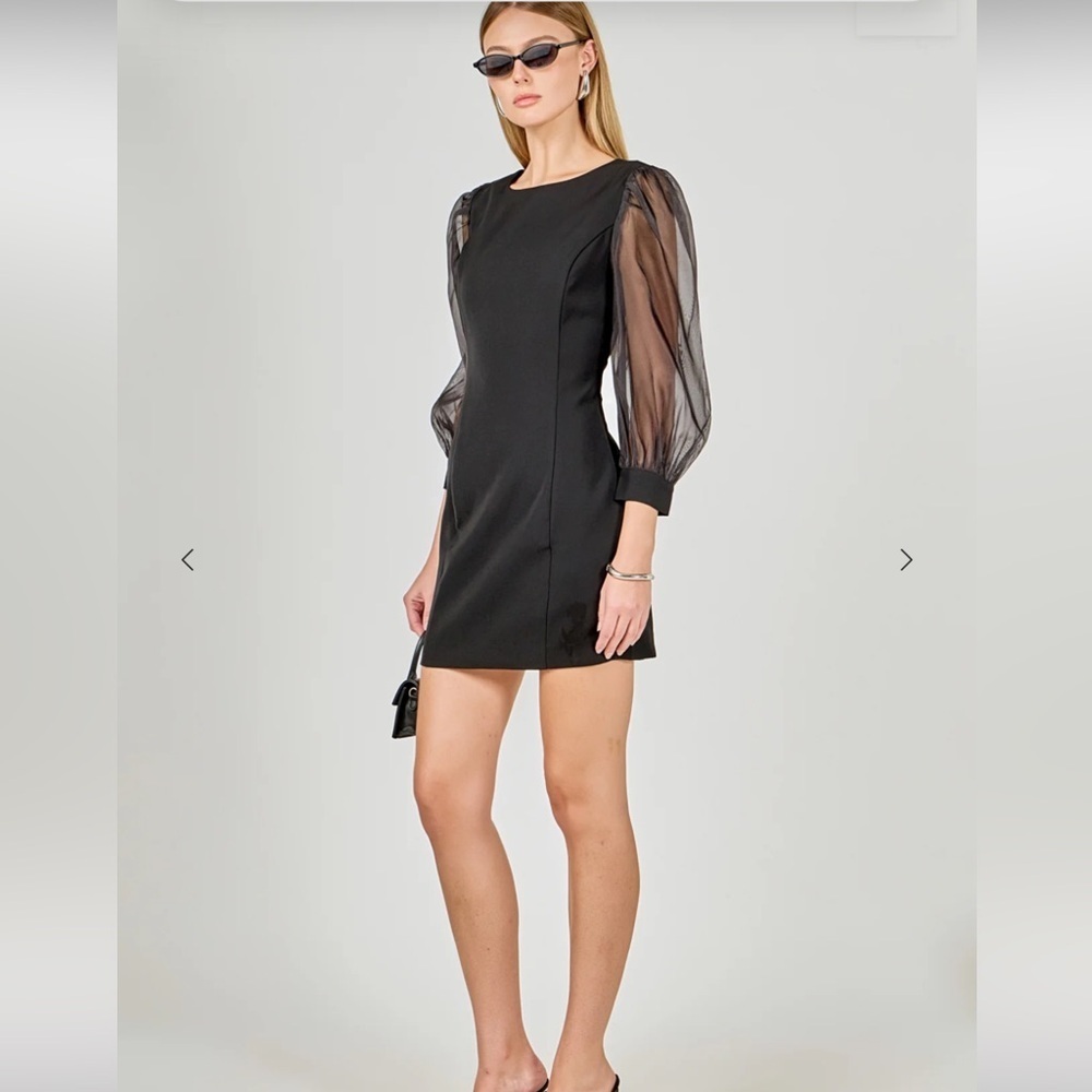 Endless Rose Black Dress with Sheer Sleeves